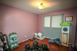 Recreation room with baseboards and dark wood-type flooring - 