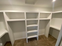 Walk in closet with dark colored carpet - 