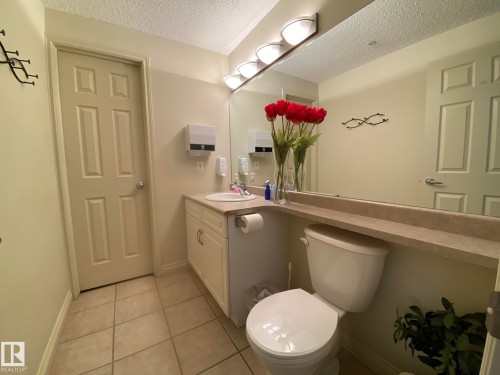 304 9803 96A Street, Edmonton, AB - Indoor Photo Showing Bathroom