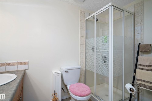 49229 Range Rd 263, Rural Leduc County, AB - Indoor Photo Showing Bathroom