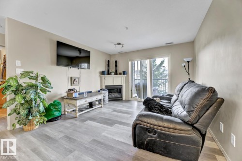 344 2096 Blackmud Creek Drive, Edmonton, AB - Indoor Photo Showing Living Room With Fireplace