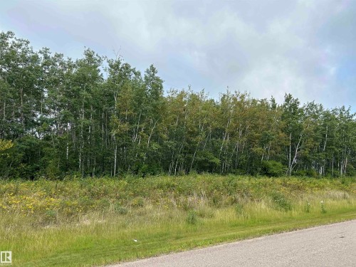 Ne 23 62 1 W4 411A Road, Rural Bonnyville M.D., AB 