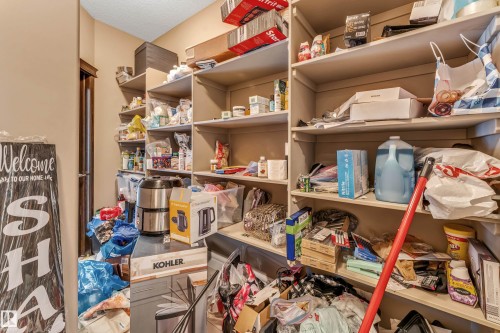 16756 60 Street, Edmonton, AB - Indoor With Storage