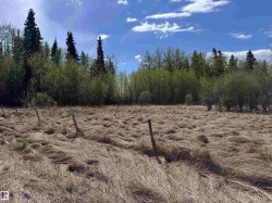 4816 & 4818 55 Street  Fawcett, AB T0G 0Y0