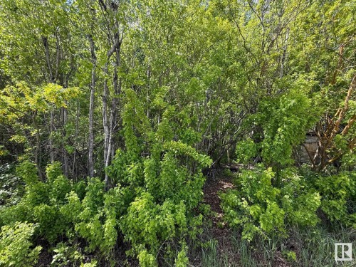 Lot 6 Baptiste Drive, Rural Athabasca County, AB 