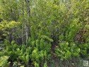 Lot 6 Baptiste Drive, Rural Athabasca County, AB 