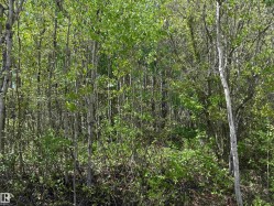 Lot 6 Baptiste Drive  Rural Athabasca County, AB T9S 1R8