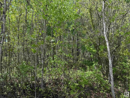 Lot 6 Baptiste Drive, Rural Athabasca County, AB 