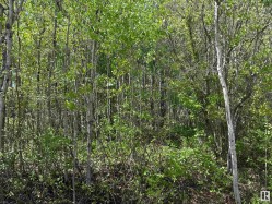 Lot 6 Baptiste Drive  Rural Athabasca County, AB T9S 1R8