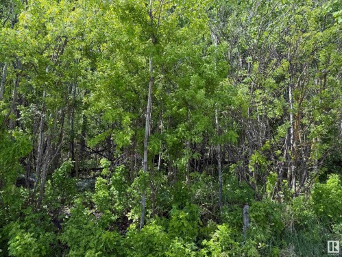 Lot 6 Baptiste Drive, Rural Athabasca County, AB 