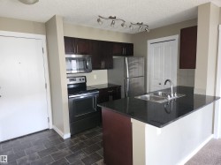 309 5370 CHAPPELLE Road  Edmonton, AB T6W 3L5