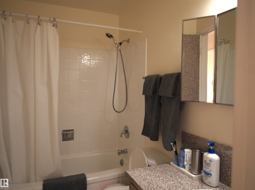 10719 152 Street, Edmonton, AB - Indoor Photo Showing Bathroom