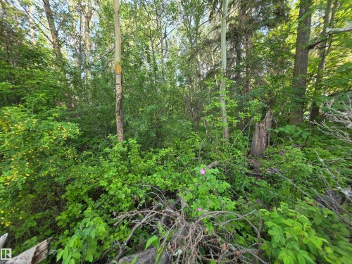 10035 Hwy 13, Rural Wetaskiwin County, AB 