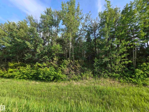 10035 Hwy 13, Rural Wetaskiwin County, AB 