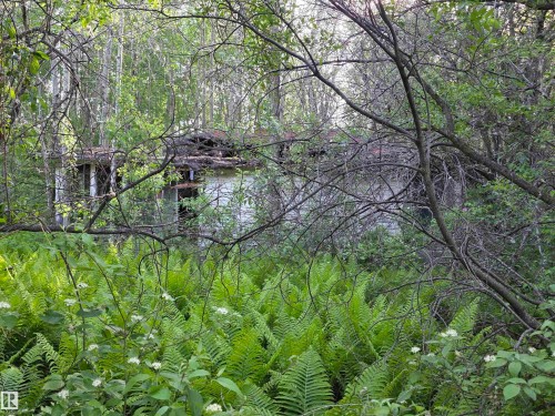 10035 Hwy 13, Rural Wetaskiwin County, AB 