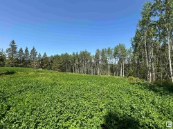 2 52318 RGE ROAD 25  Rural Parkland County, AB T7Y 2M3