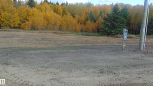 #14 243060 Twp 470, Rural Wetaskiwin County, AB 