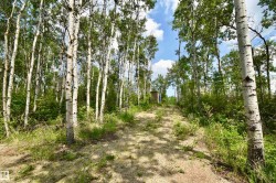 617 59201 RNG RD 95  Rural St. Paul County, AB T0A 3A0