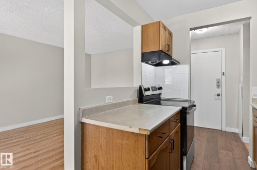 301 10621 79 Avenue Nw, Edmonton, AB - Indoor Photo Showing Kitchen