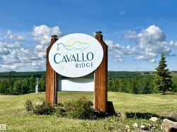 649 454029 RNG RD 11  Rural Wetaskiwin County, AB T0C 2V0