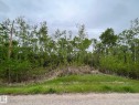 10 60503 Rge Rd 470, Rural Bonnyville M.D., AB 