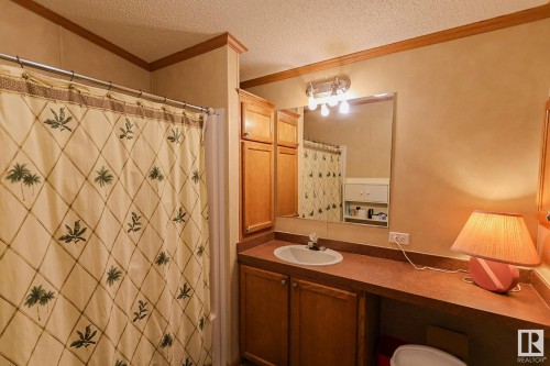 529 12002 Twp Rd 605, Rural St. Paul County, AB - Indoor Photo Showing Bathroom