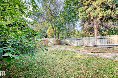 View of fenced backyard - 12605 107 Avenue, Edmonton, AB - Outdoor