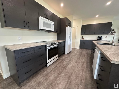 54322 Rge Rd 253, St. Albert, AB - Indoor Photo Showing Kitchen With Double Sink