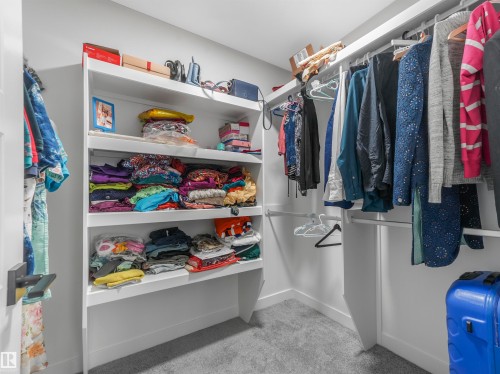 1581 Howes Place, Edmonton, AB - Indoor With Storage