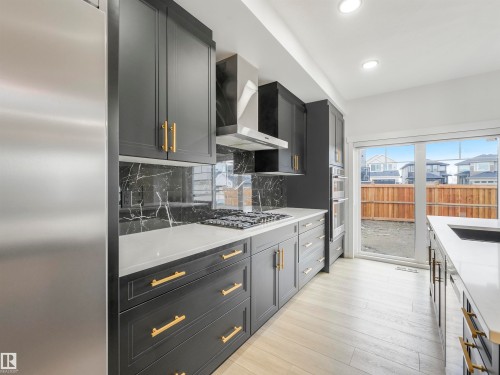 1581 Howes Place, Edmonton, AB - Indoor Photo Showing Kitchen With Double Sink With Upgraded Kitchen