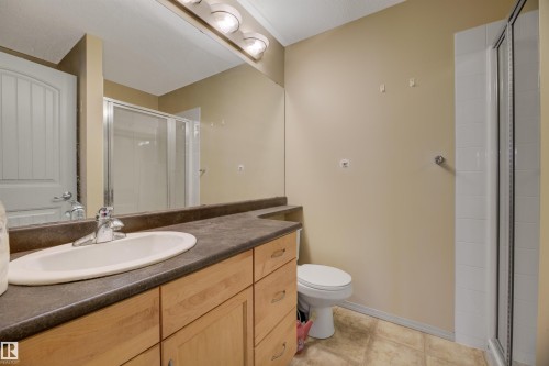 452 2096 Blackmud Creek Drive, Edmonton, AB - Indoor Photo Showing Bathroom