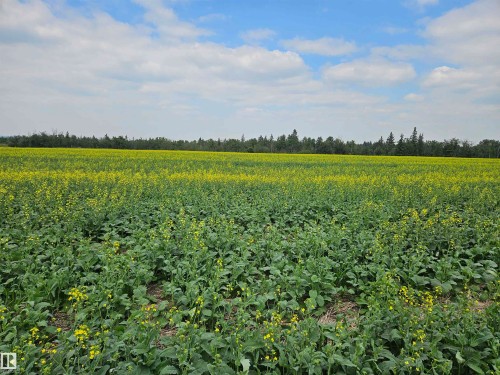 Twp 534 Rr232, Rural Strathcona County, AB 