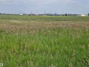 Twp 534 Rr232, Rural Strathcona County, AB 