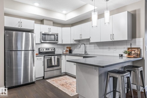 203 10006 83 Ave, Edmonton, AB - Indoor Photo Showing Kitchen With Upgraded Kitchen