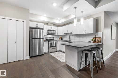203 10006 83 Ave, Edmonton, AB - Indoor Photo Showing Kitchen With Upgraded Kitchen