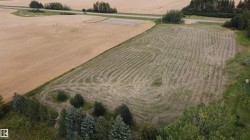 Hwy 613 Rge Rd 235  Rural Wetaskiwin County, AB T0C 1Z0