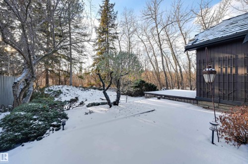 14232 Ravine Drive, Edmonton, AB - Outdoor