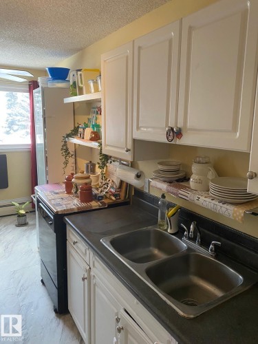 207 8930 149 Street, Edmonton, AB - Indoor Photo Showing Kitchen With Double Sink