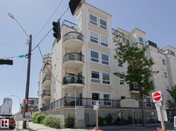 202 10707 102 Avenue  Edmonton, AB T5J 5E4