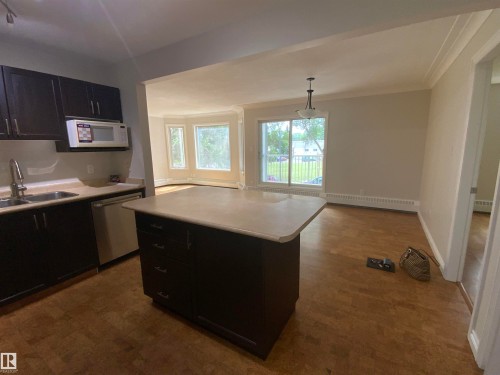 34 9914 80 Avenue, Edmonton, AB - Indoor Photo Showing Kitchen With Double Sink