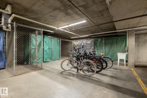 116 4008 Savaryn Drive, Edmonton, AB - Indoor Photo Showing Garage