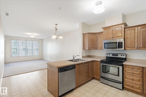 111 9820 165 Street, Edmonton, AB - Indoor Photo Showing Kitchen With Stainless Steel Kitchen With Double Sink