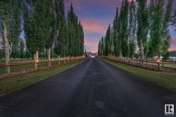 400 51430 RGE ROAD 231  Rural Strathcona County, AB T8B 1K9