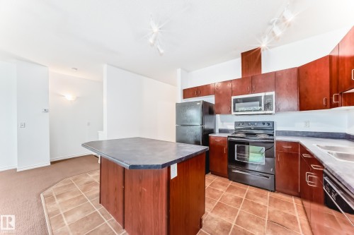 102 3010 33 Avenue Nw, Edmonton, AB - Indoor Photo Showing Kitchen With Double Sink