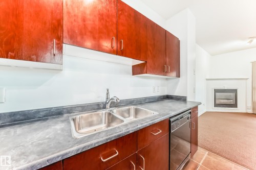102 3010 33 Avenue Nw, Edmonton, AB - Indoor Photo Showing Kitchen With Double Sink