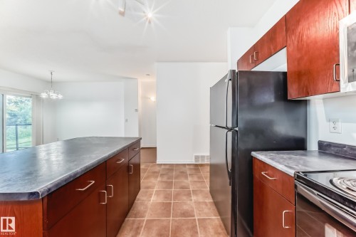 102 3010 33 Avenue Nw, Edmonton, AB - Indoor Photo Showing Kitchen