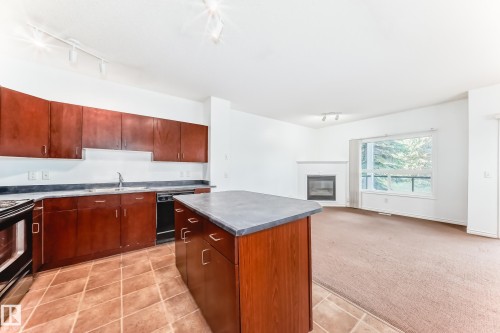 102 3010 33 Avenue Nw, Edmonton, AB - Indoor Photo Showing Kitchen With Fireplace