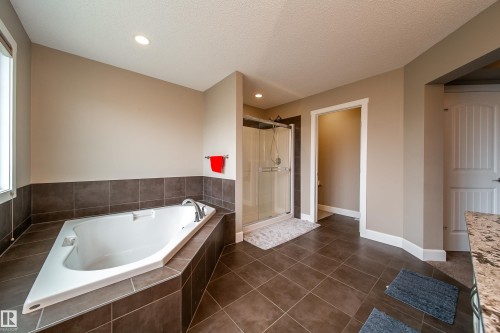 3203 Winspear Crescent, Edmonton, AB - Indoor Photo Showing Bathroom