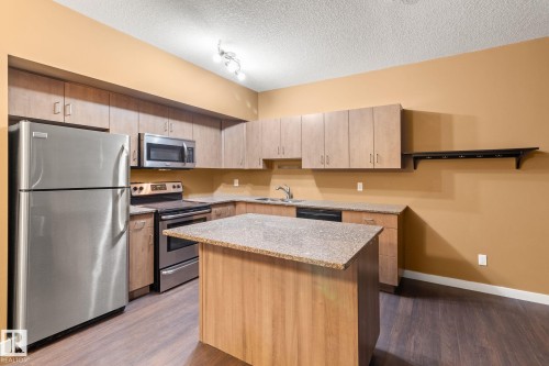 514 10518 113 Street, Edmonton, AB - Indoor Photo Showing Kitchen With Double Sink