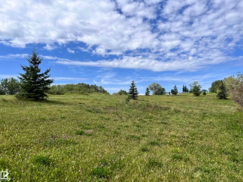 View of undeveloped land with rural landscape - 3500 43 Ave, Drayton Valley, AB 